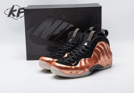 Nike Air Foamposite One Copper FZ9902-001 Size 38.5-47.5